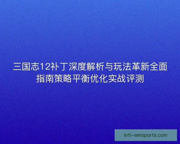 三国志12补丁深度解析与玩法革新全面指南策略平衡优化实战评测