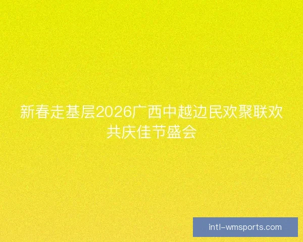 新春走基层2026广西中越边民欢聚联欢共庆佳节盛会